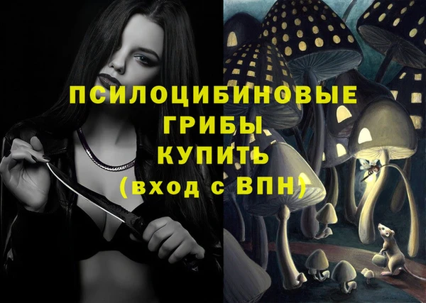 шишки Зеленокумск