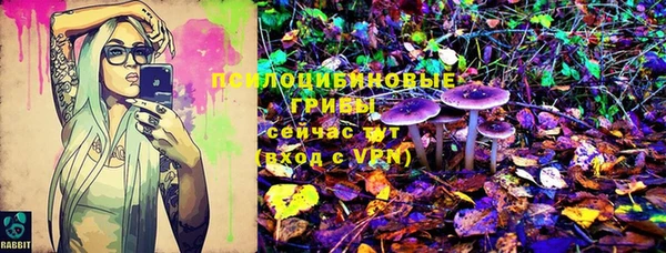 соль ск Алзамай