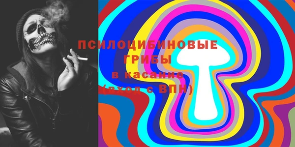 соль ск Алзамай